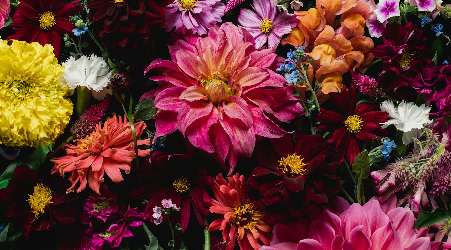Welcome Home flowers
